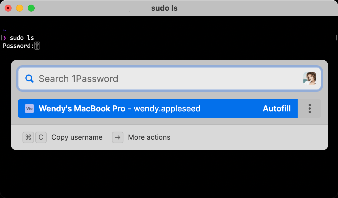 Autofill your Mac login password in Terminal with 1Password